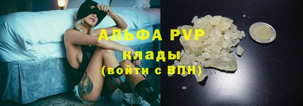 индика Балабаново