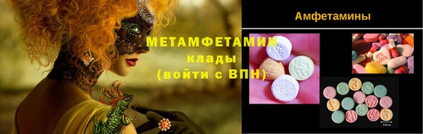 прущие грибы Баксан