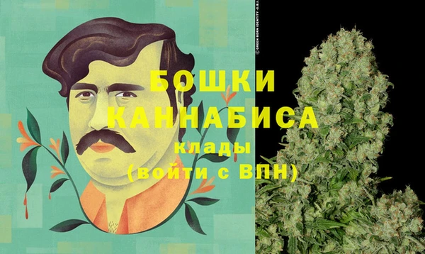 индика Балабаново