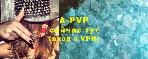 индика Балабаново