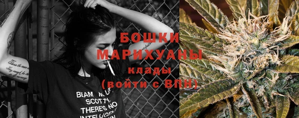 прущие грибы Баксан